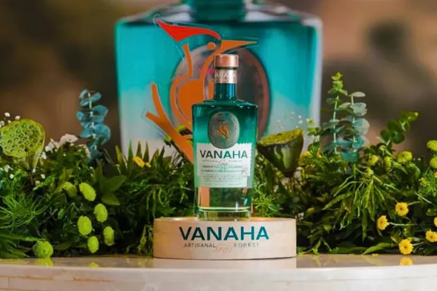 Vanaha-Gin