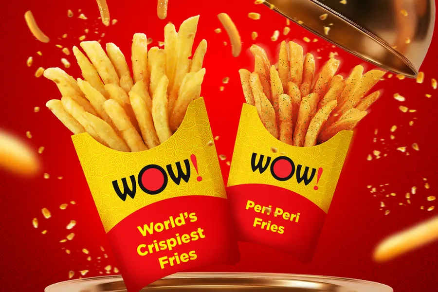 Wow-Momo-Fries-Burp-Bible