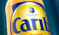Carib-Burp-Bible