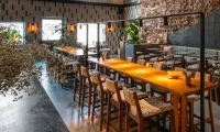 Interior-Decor-of-newly-opened-Concu-colaba