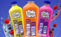 Protein-Water