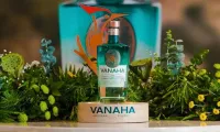 Vanaha-Gin