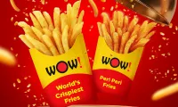 Wow-Momo-Fries-Burp-Bible
