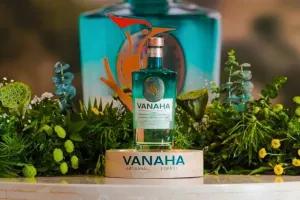 Vanaha-Gin